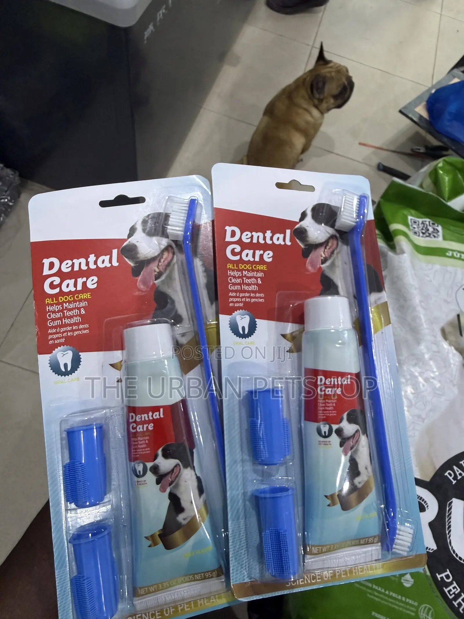 Dog Dental Care