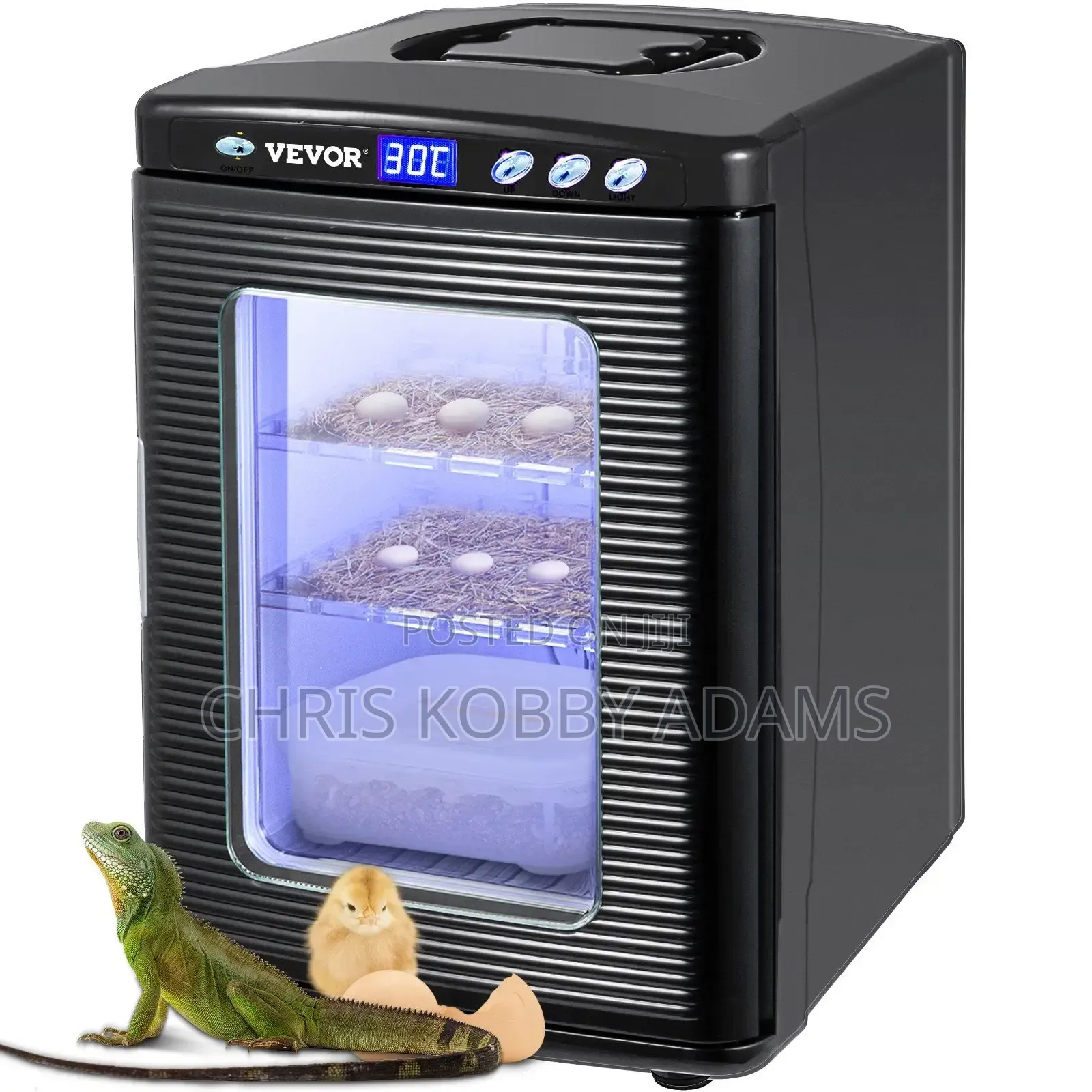 Reptile Egg Incubator