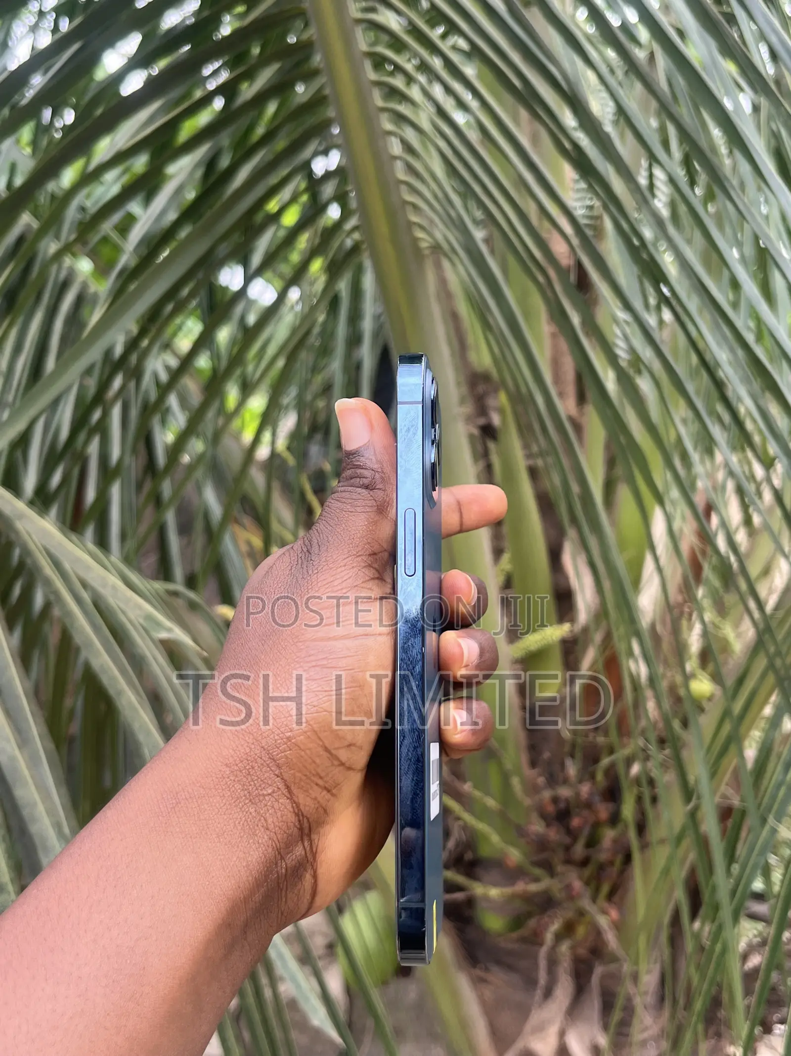 Apple iPhone 12 Pro Max 128 GB Blue