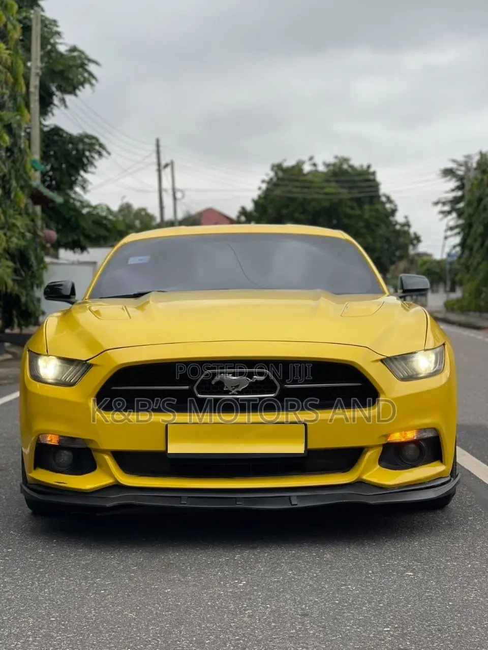 Ford Mustang GT 50 Years Limited Edition 2dr Coupe (5.0L 8cyl 6M) 2015