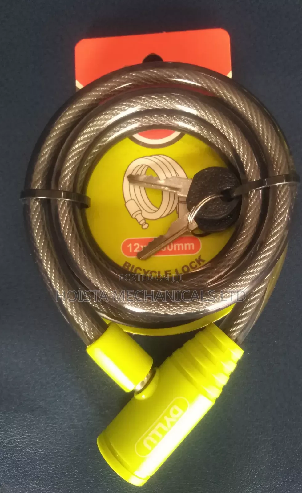 Bicycle Lock