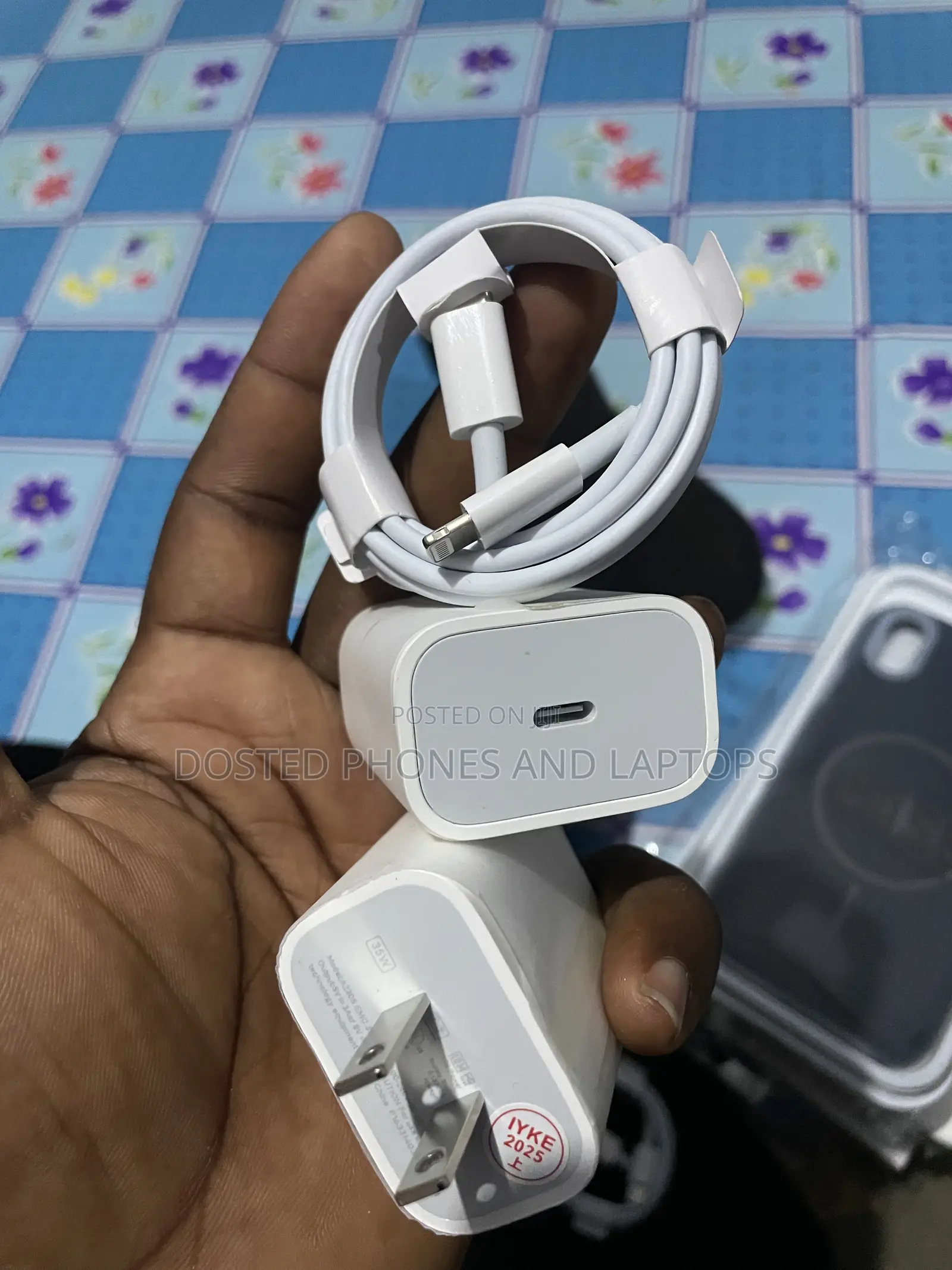 2 Pin Original iPhone Charger