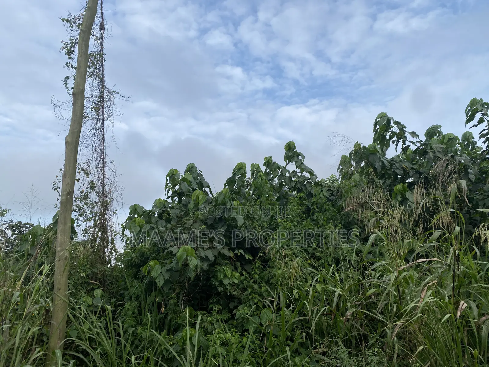 2 Plots of Land at Aburi Ahwerease, Per Plot Is 