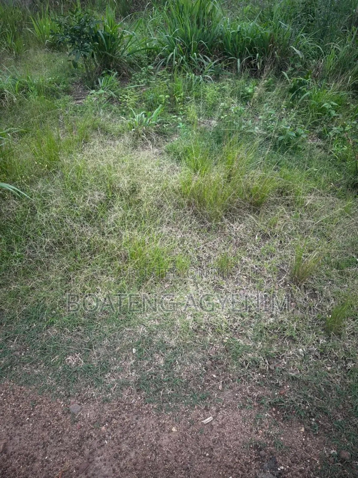 Half Plot for Sale