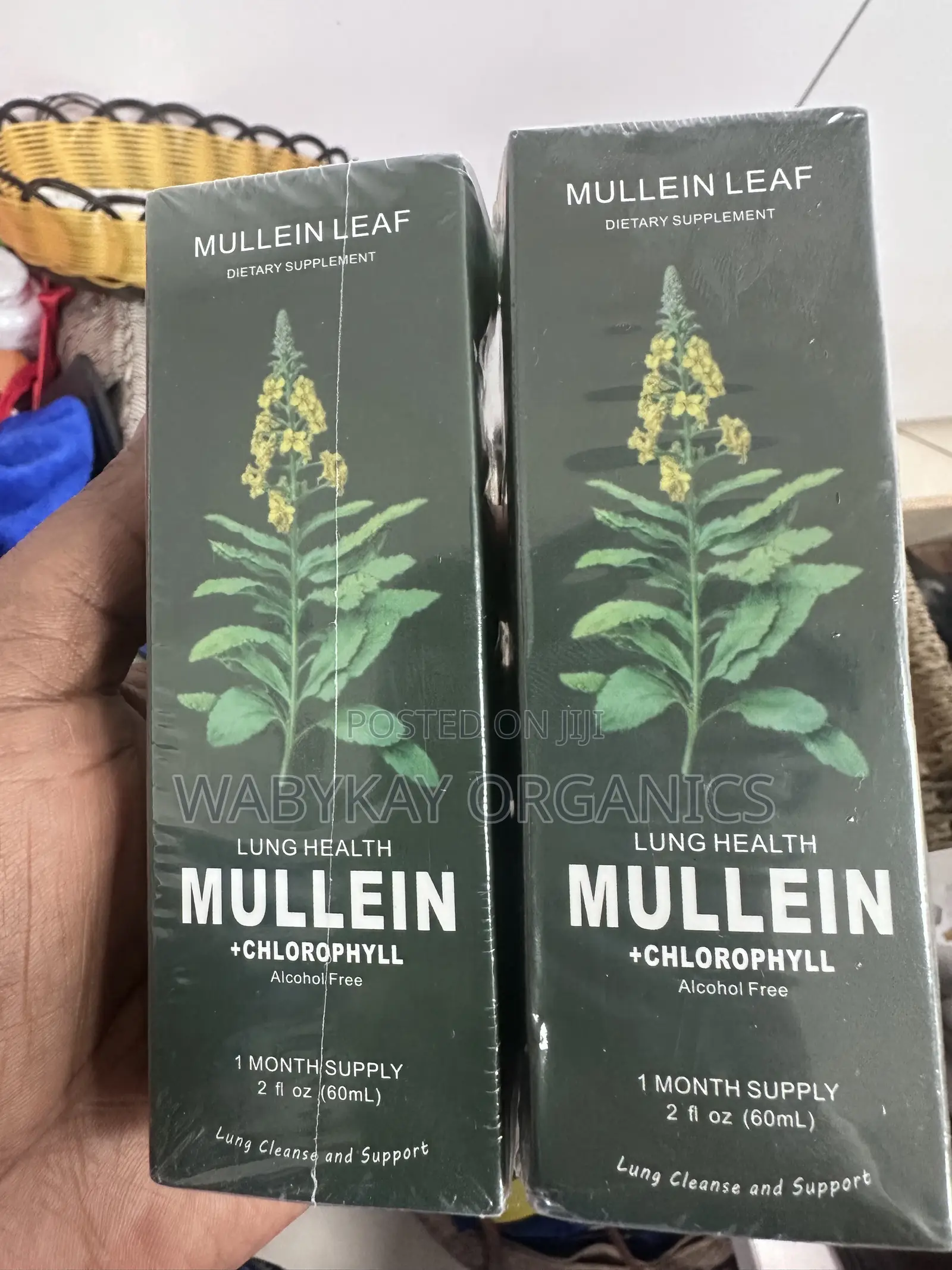 Mullen + Chlorophyll Liquid Drops