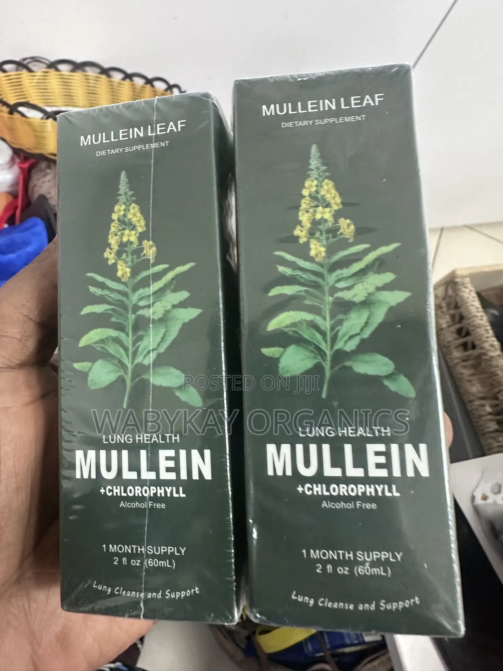 Mullen + Chlorophyll Liquid Drops