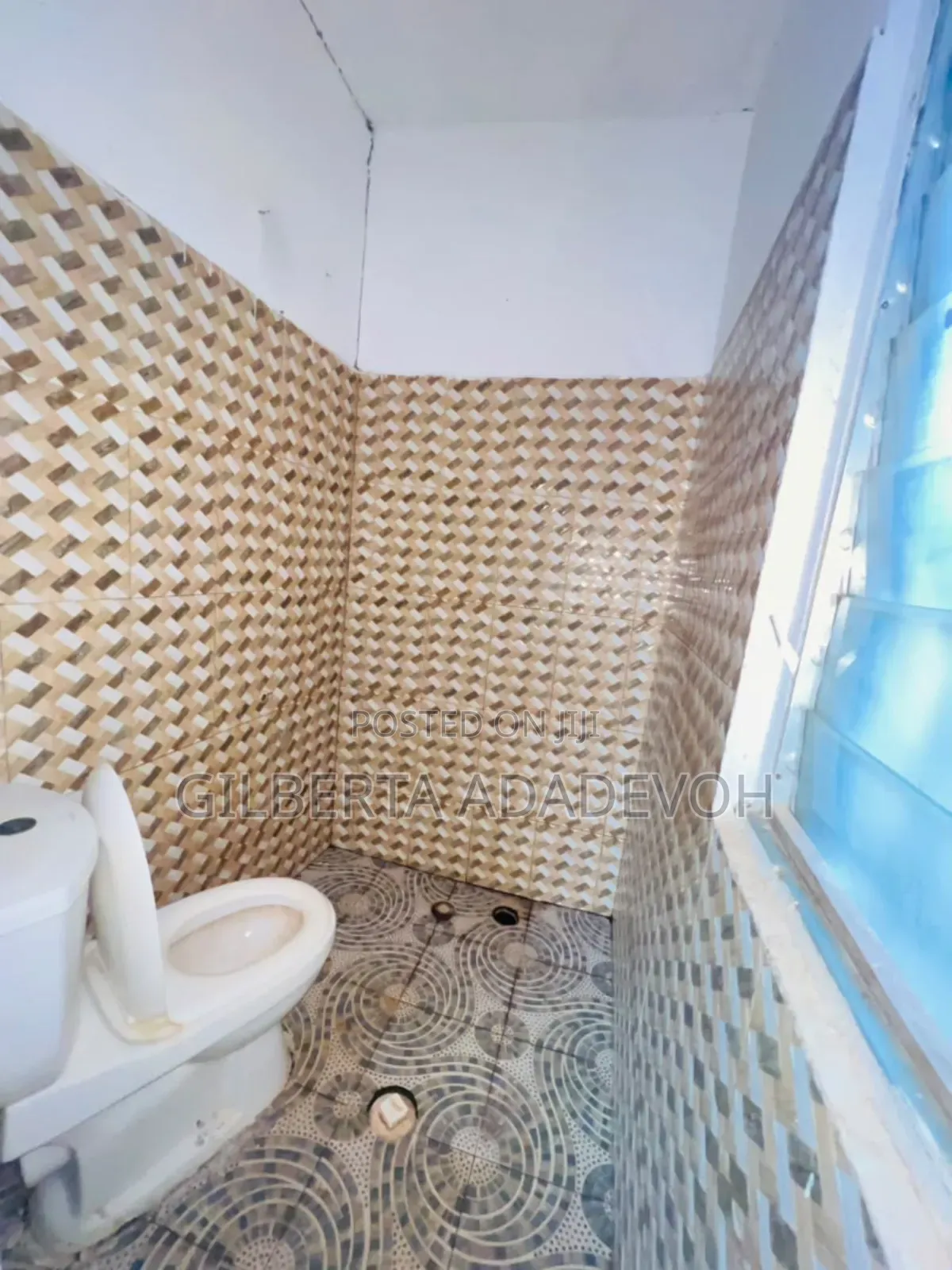1bdrm Apartment in Borga Homes, Danfa for rent