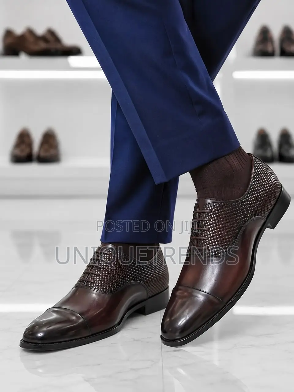 Executive CARMINA Leather Oxfords Shoe (Brown)