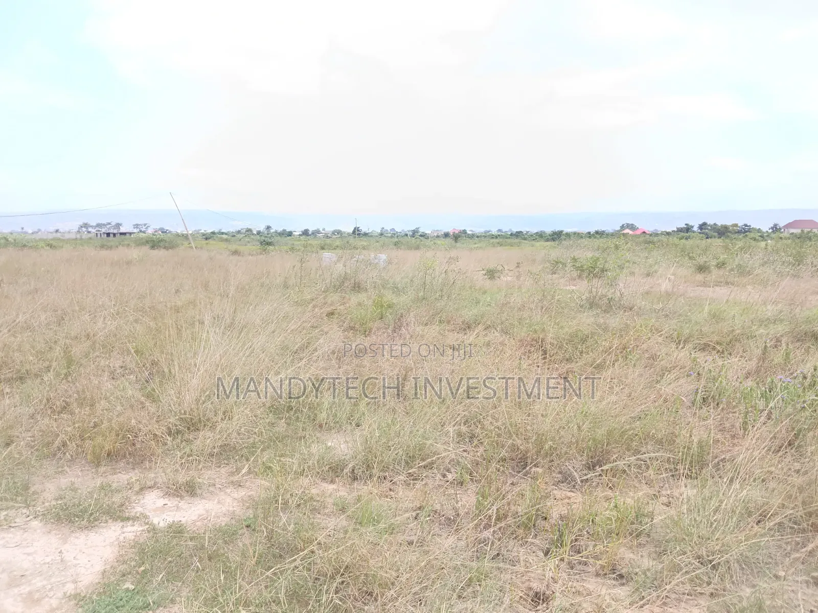 Invest in This Elegant Land - Appolonia