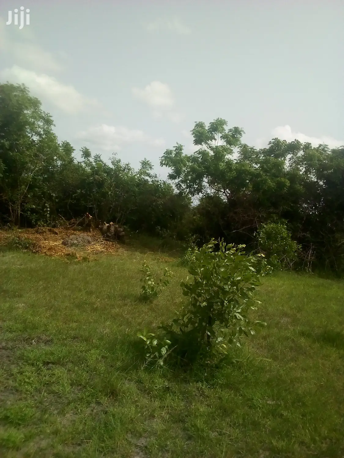 150 Acres of Land Farm Land