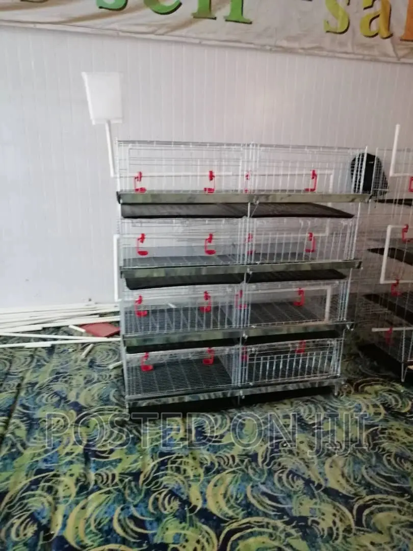 Plastic Waste Tray
