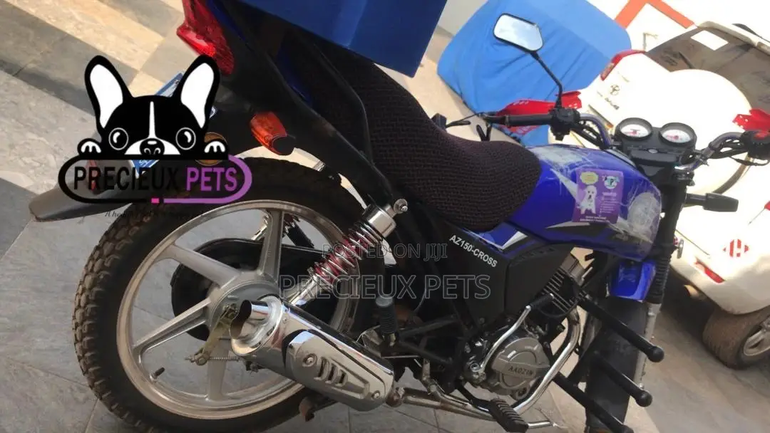 Delivery Bike for Pets and Pets Accessories