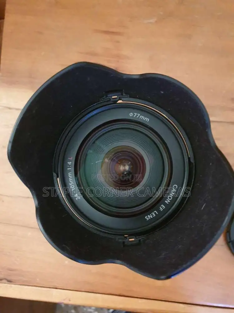 Canon EF 24-105mm F/4 IS USM Zoom Lens