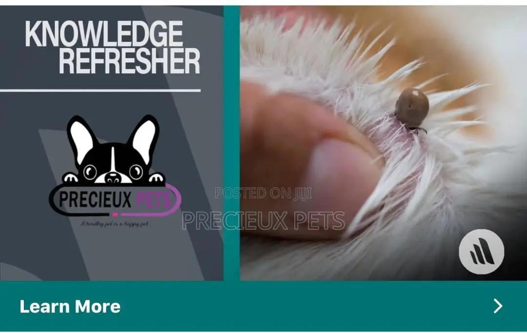 Precieux Pets Shop/Kennel