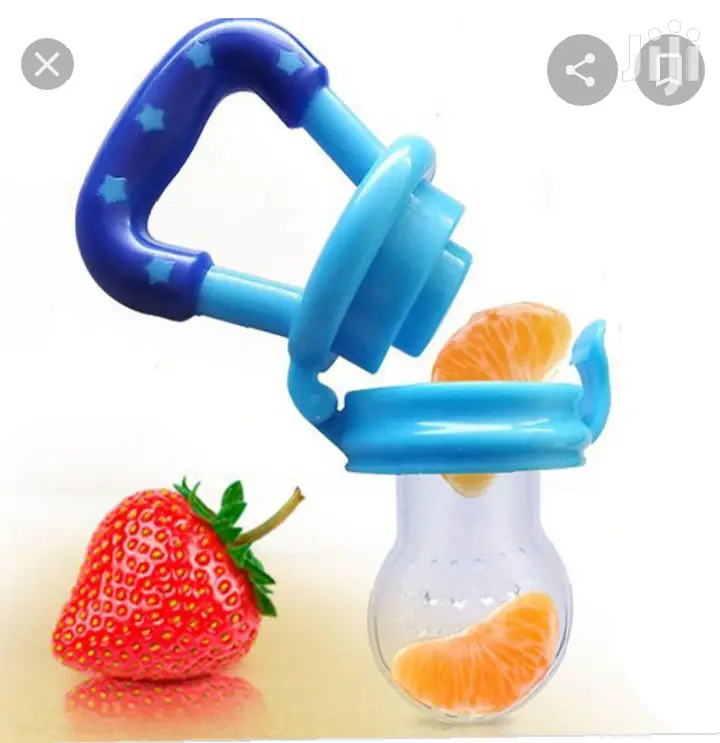 Baby Fruit Feeder