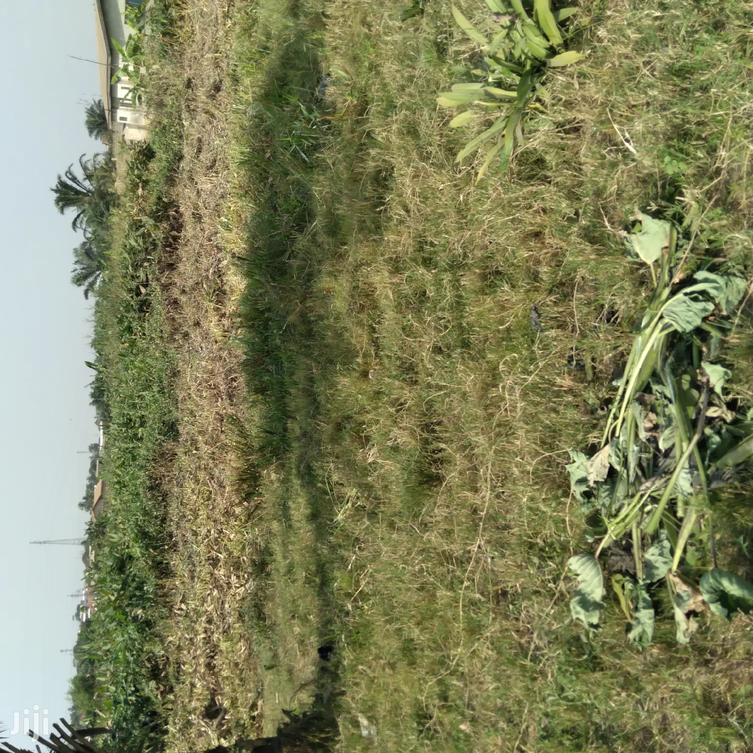 Plot of Land at Ahinsan Estate Is on Sales