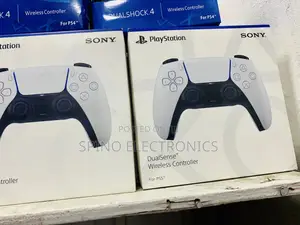 PS5 Controller