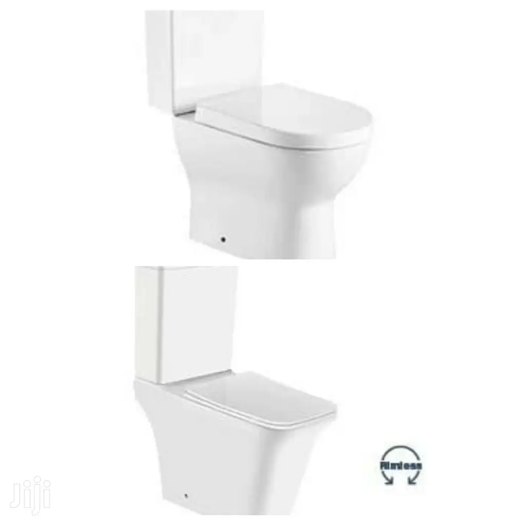Modern Wc for Classic Home