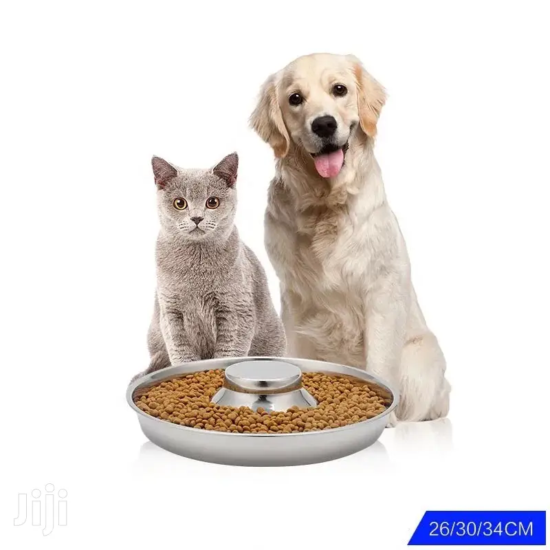 Puppy Saucer