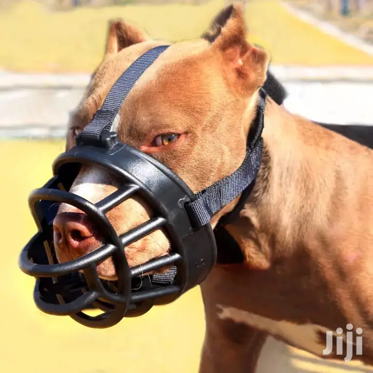 Dog Muzzle Mouth Guard