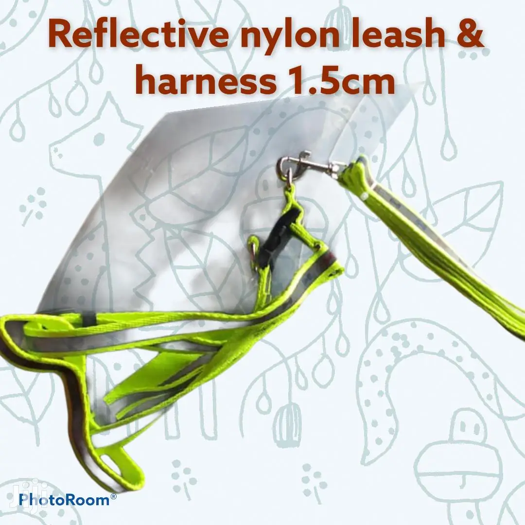 Reflective Nylon Leash and Harness