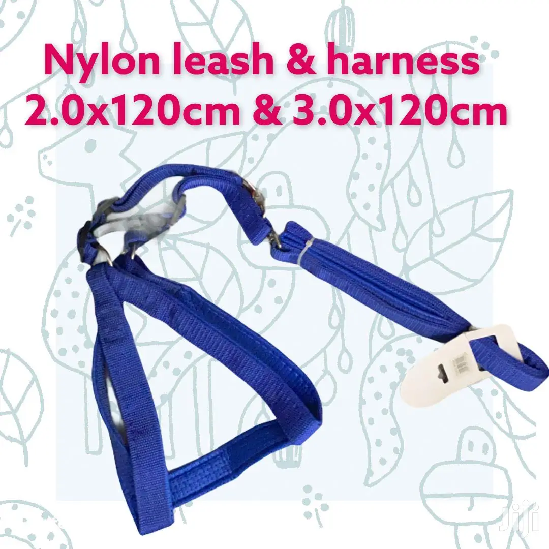 Reflective Nylon Leash and Harness