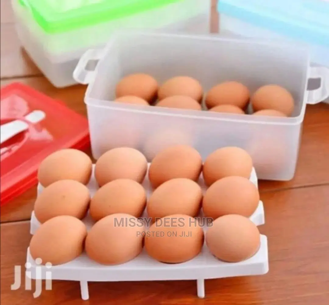 Plastic Egg Storage Containers { 24pcs}