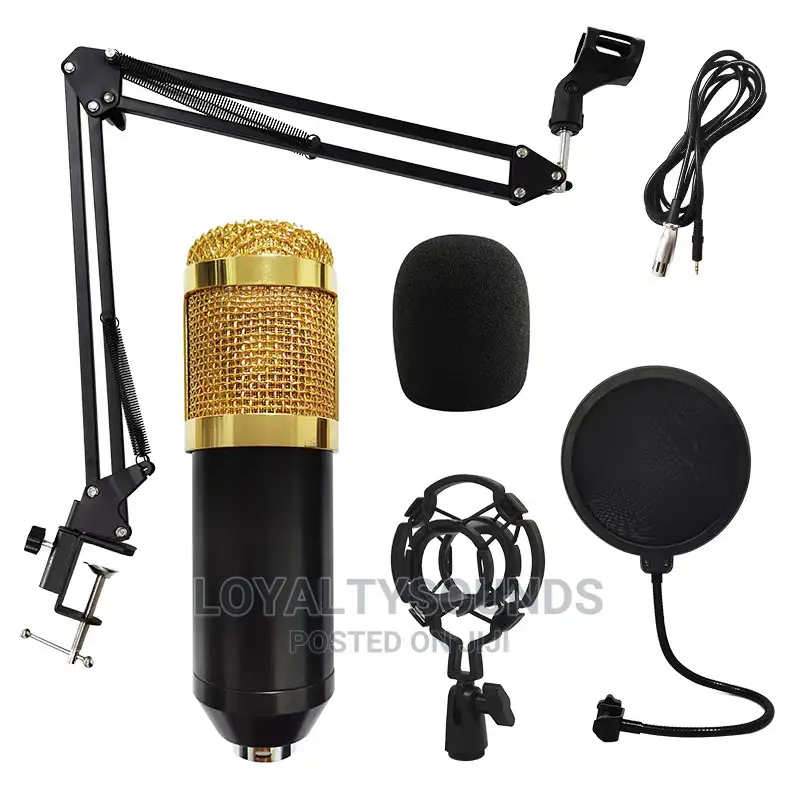 BM 800 Condenser Microphone With Stand and Pop Filter
