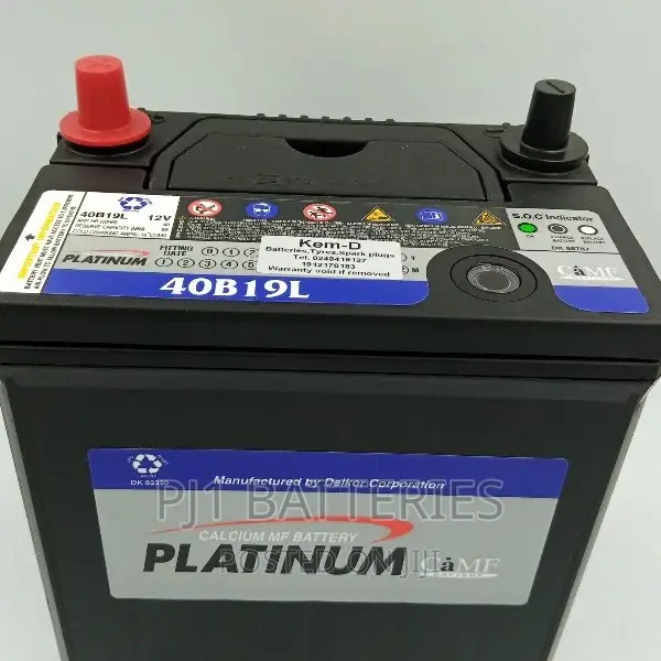 Platinum Car Battery