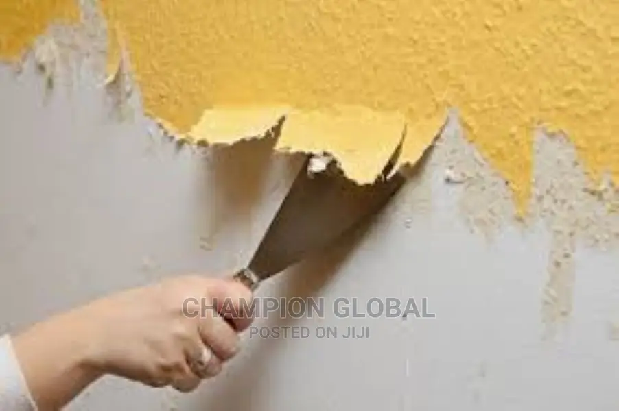 Paint Remover