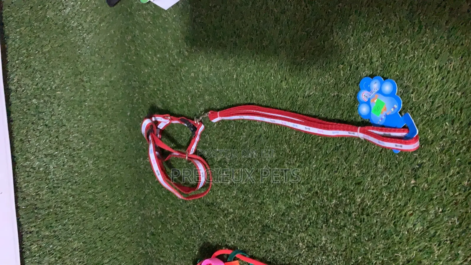 Toy Dog Harness