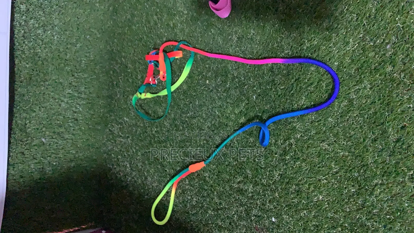 Toy Dog Harness