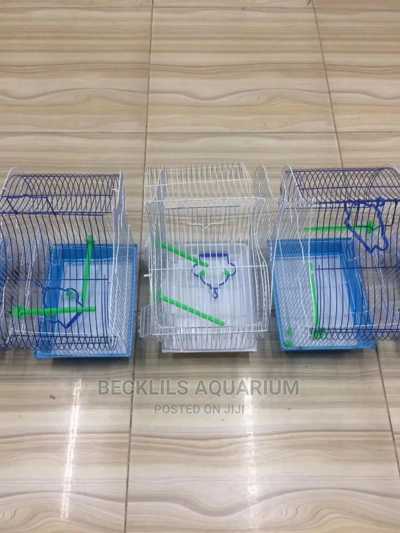 Birds Cages