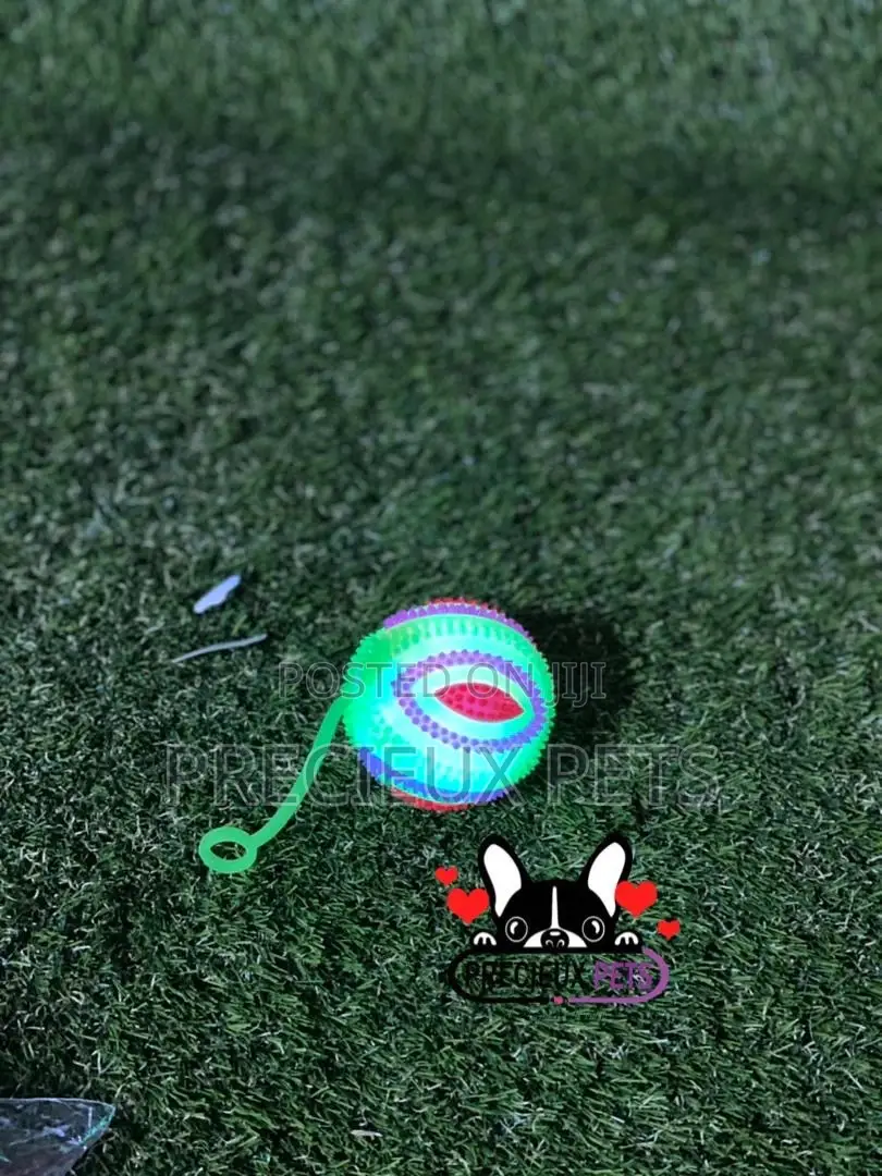 Led Display Toys for Dogs