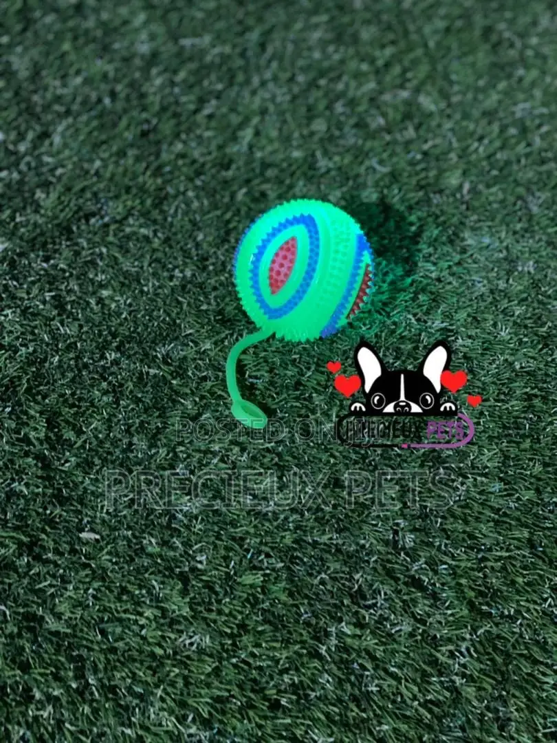 Led Display Toys for Dogs