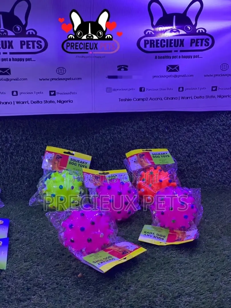 Medium Size Balls for Toy Dogs