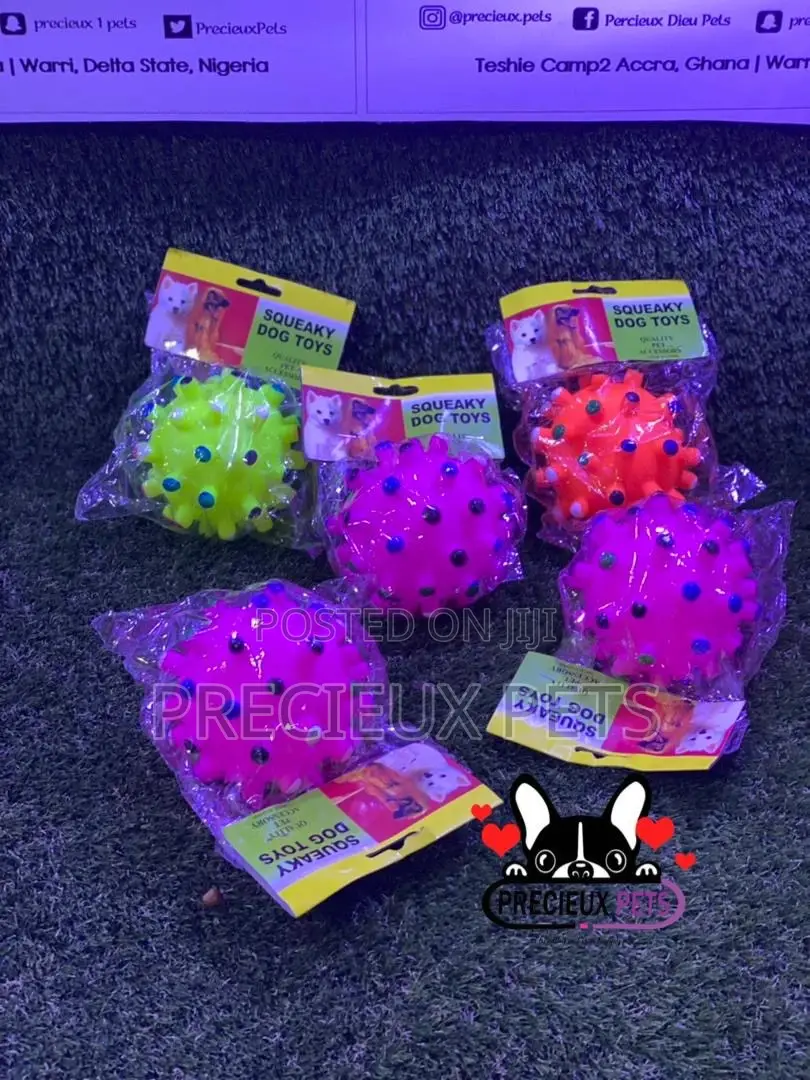 Medium Size Balls for Toy Dogs