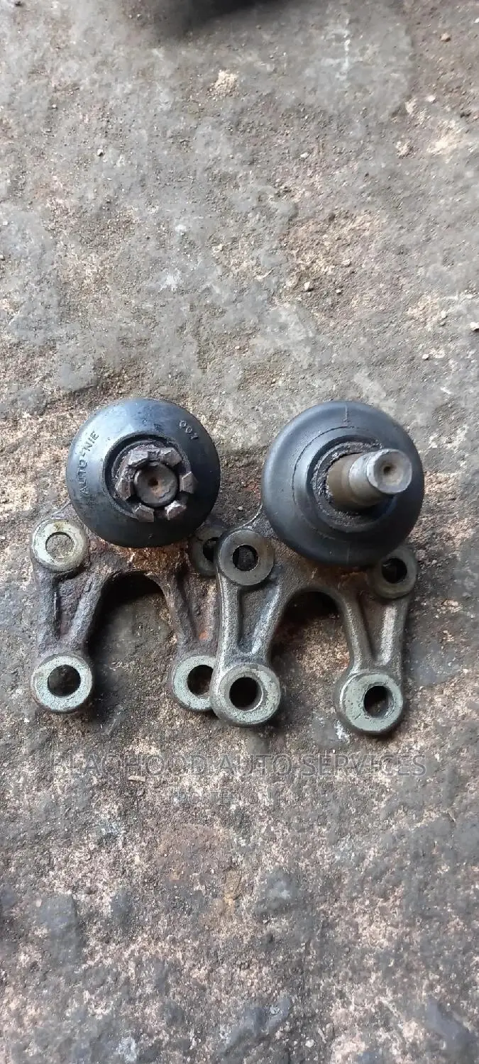 Toyota Fish Lower Arm Ball Joint Available