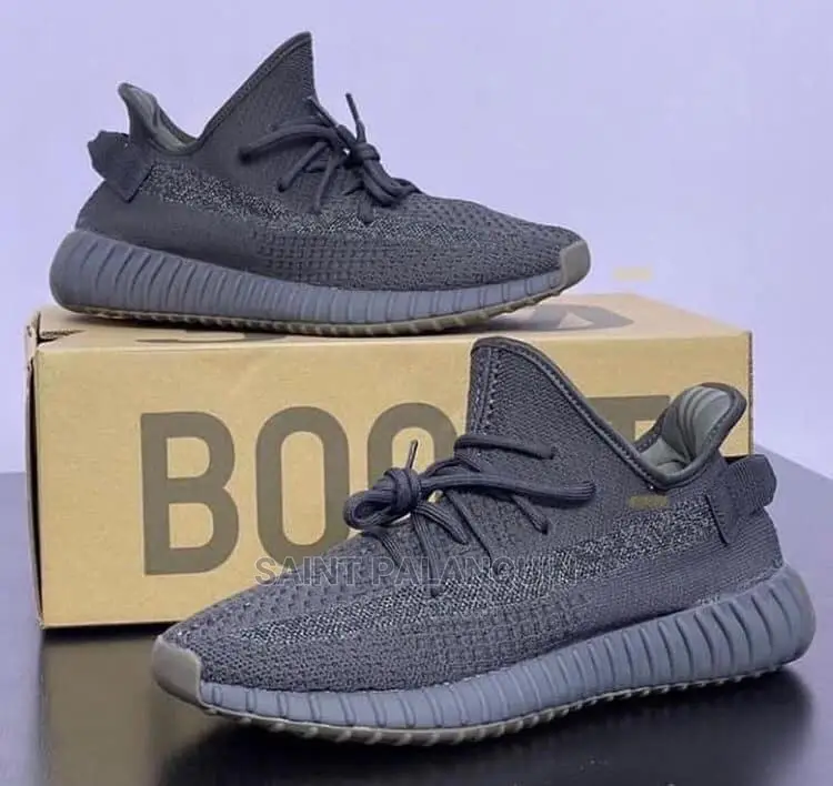 Adidas Yeezy Boost 350 Version