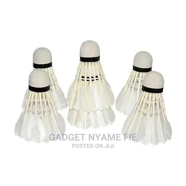 6pcs Shuttlecock in Small Plastic Can