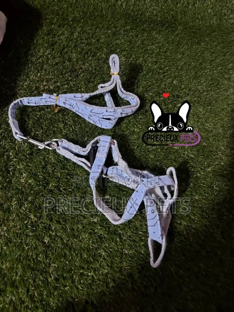 Toy Dogs Harness Serial No. 2021/0001