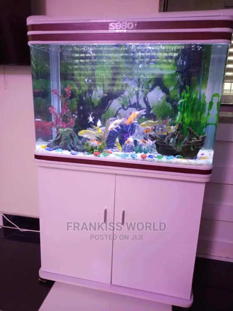 Inported Aquarium