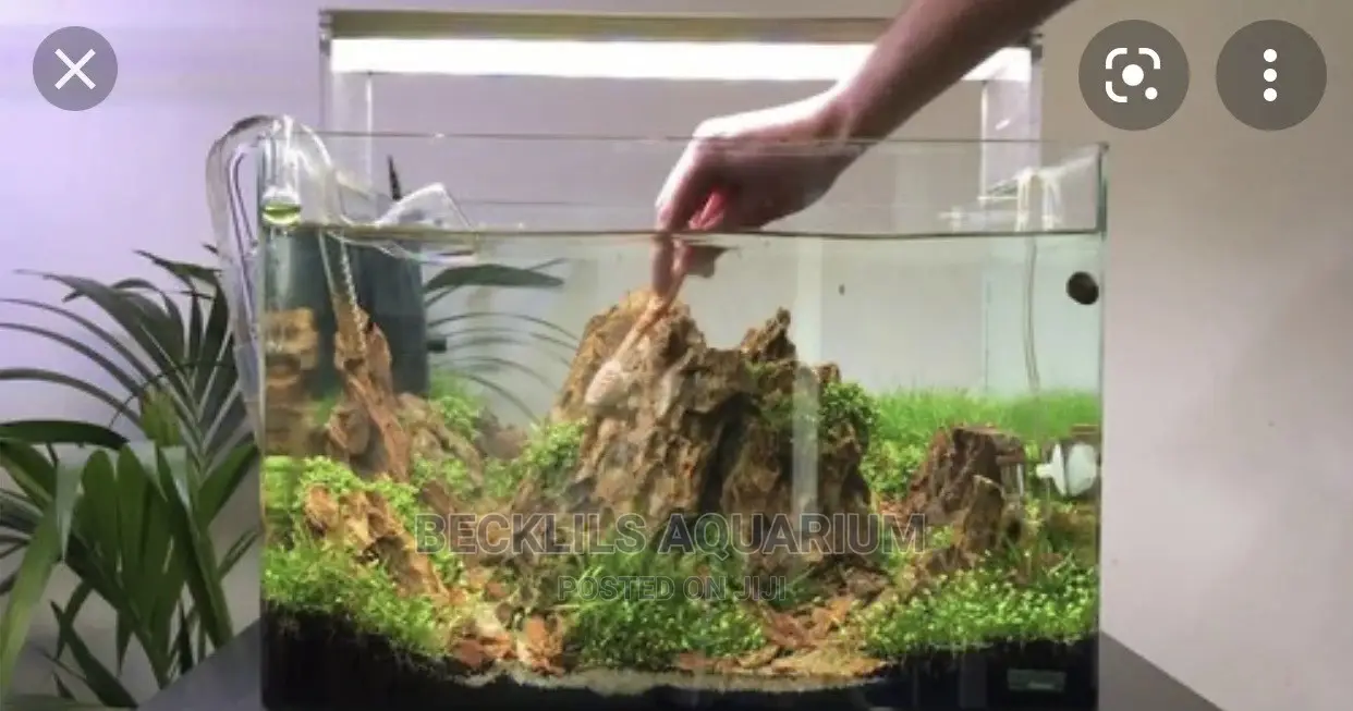 Package Aquariums