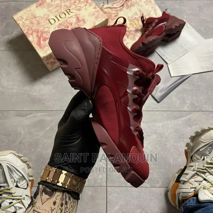 Dior D _Connect