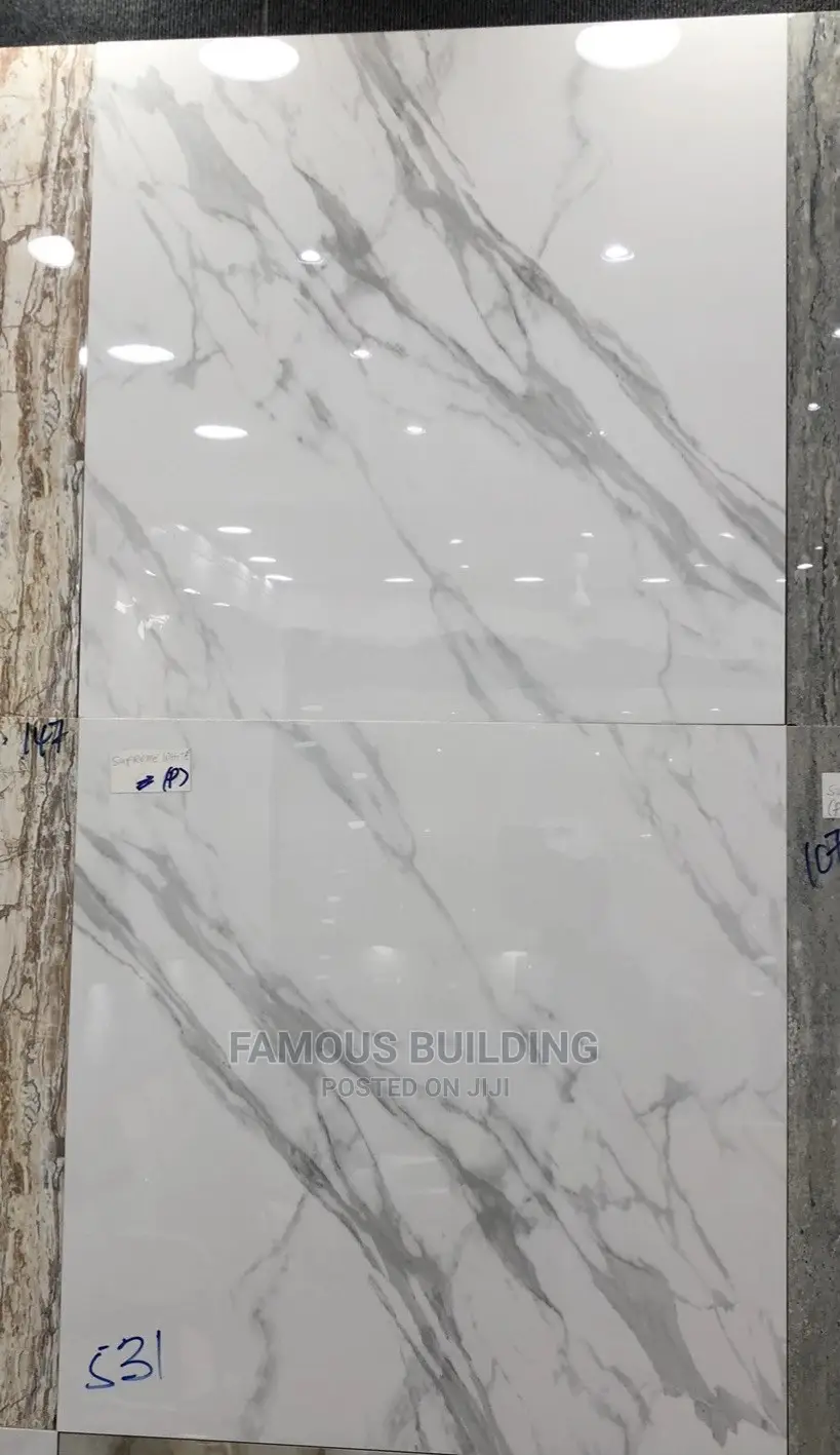 Floor Tiles (60/60 )