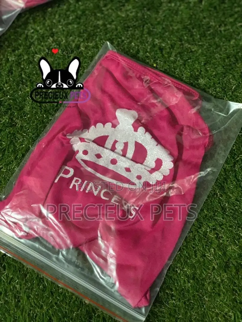 Toy Dog Clothing Series 3