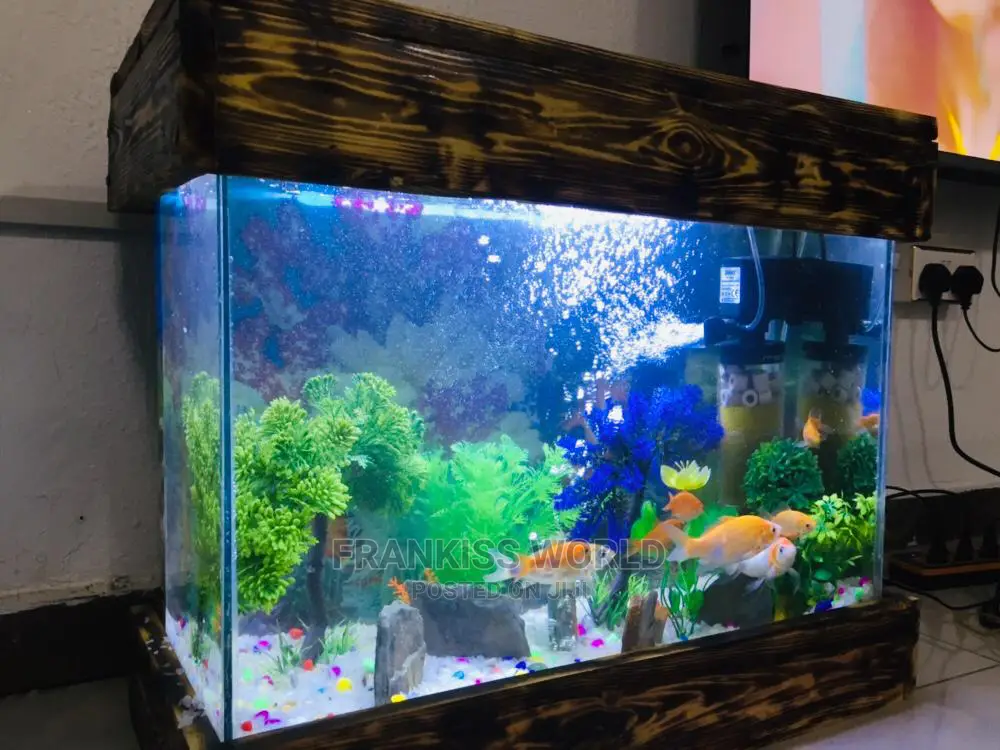 Mini Design Aquarium