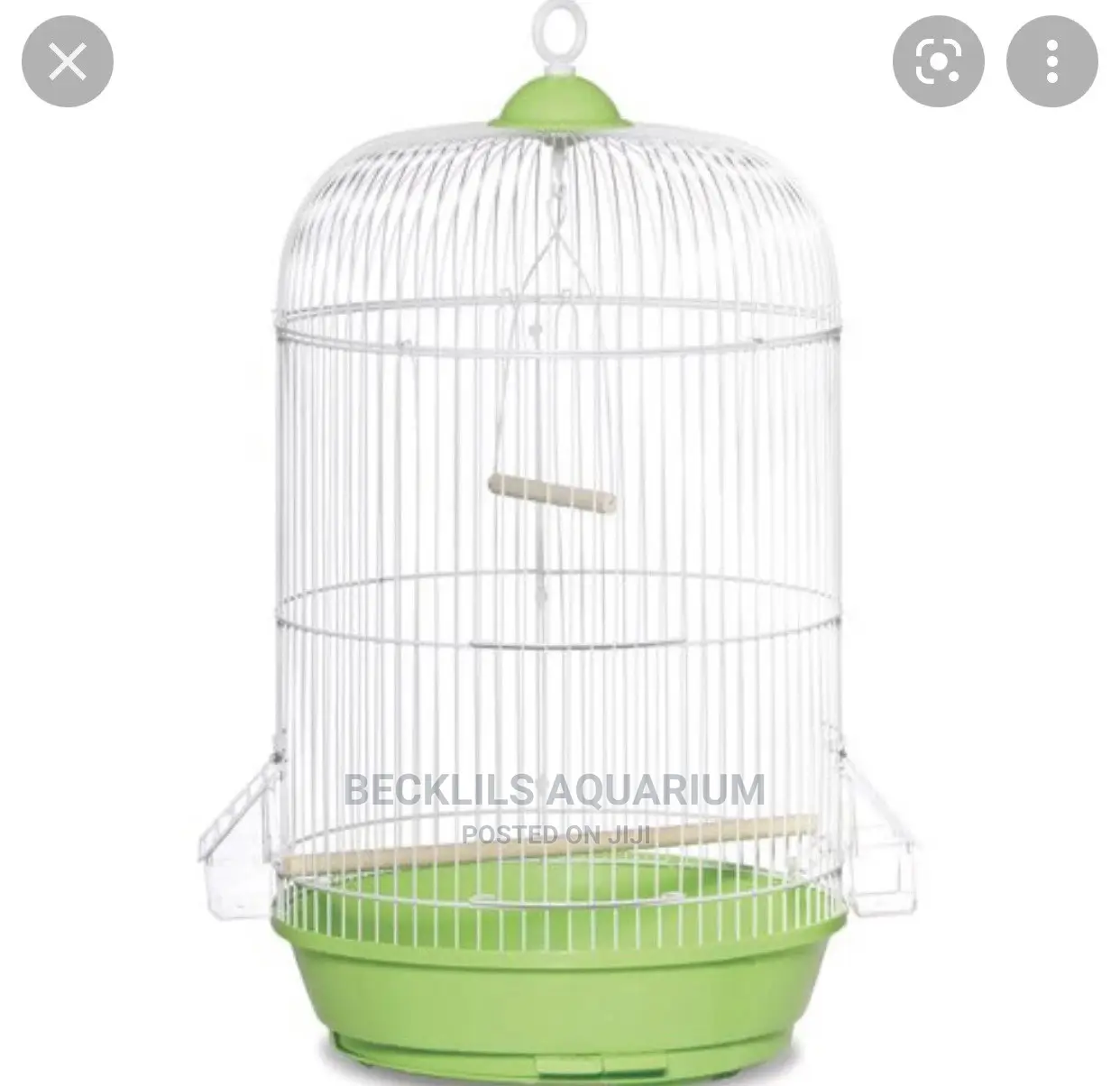 Round Bird Cage