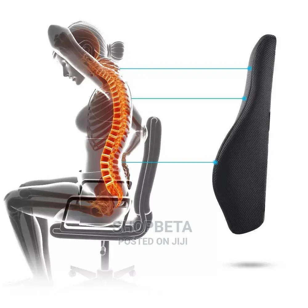 Lower Back /Lumber Support Back Rest
