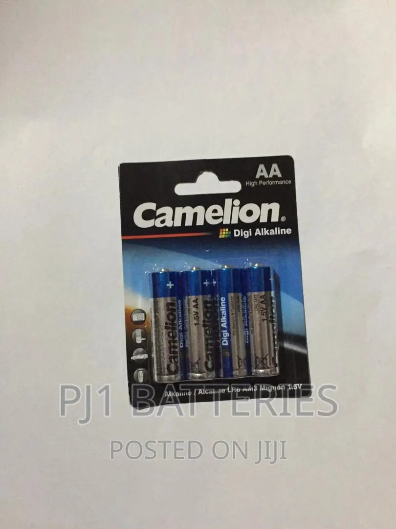 AA Alkaline Camelion